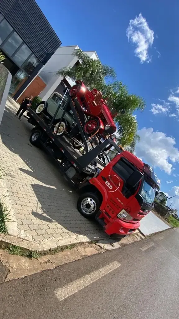 Transporte Duplo para Coleções & Eventos
